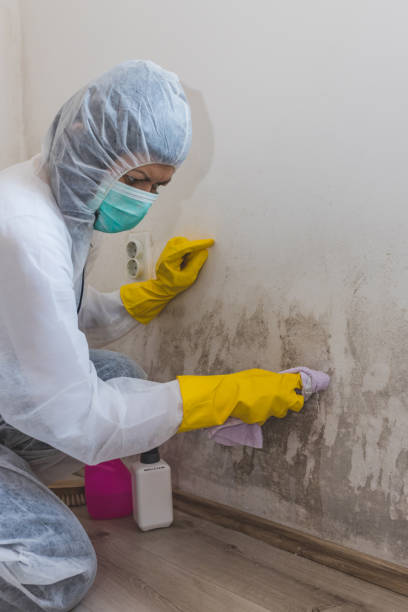 Best Industrial Mold Remediation  in Center, TX