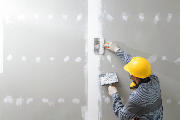 Best Mold Prevention Services  in Center, TX